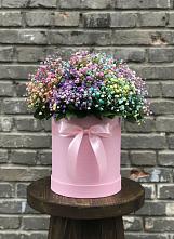 Цветочная композиция из Гипсофила и Розы в шляпной коробке в Строителе