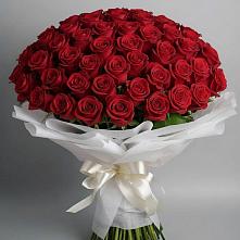 Букет 101 Красная роза Блэк Мэджик в Строителе