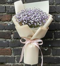 Букет цветов из:  Гипсофила в Строителе