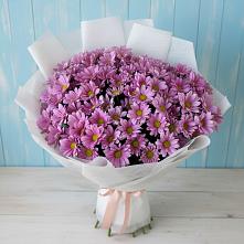 Букет цветов из:  Хризантемы #REPLACE_PRED# Строителе