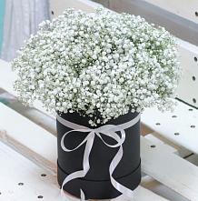 Цветочная композиция из Гипсофила в шляпной коробке #REPLACE_PRED# Строителе