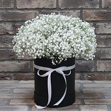 Цветочная композиция из Гипсофила в шляпной коробке #REPLACE_PRED# Строителе