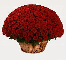 Премиум букет из: Розы в Строителе